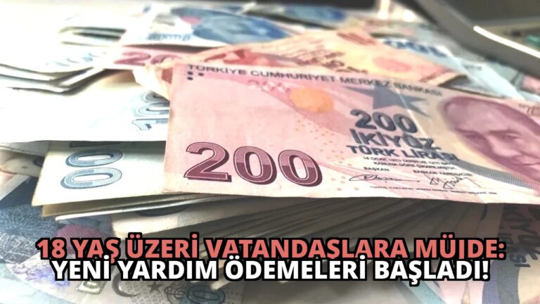 18 Yaş Üzeri Vatandaşlara Müjde: Yeni Yardım Ödemeleri Başladı!
